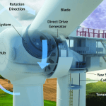 Trump’s War On Wind Turbines Takes Another Ludicrous Turn