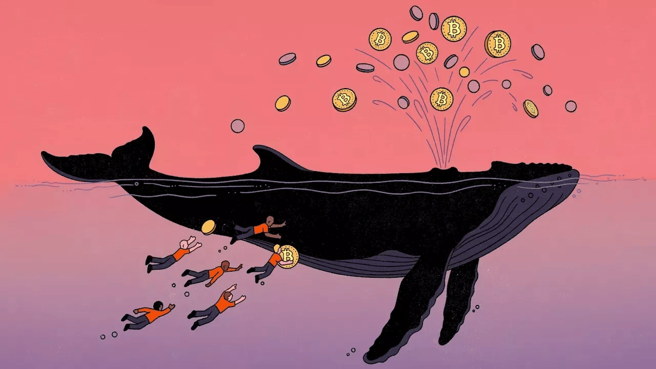 The People—OK, the Men—Who Still Love Bitcoin