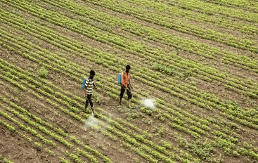 Farmers Turn Cautious As Rising Costs Squeeze Investment: McKinsey