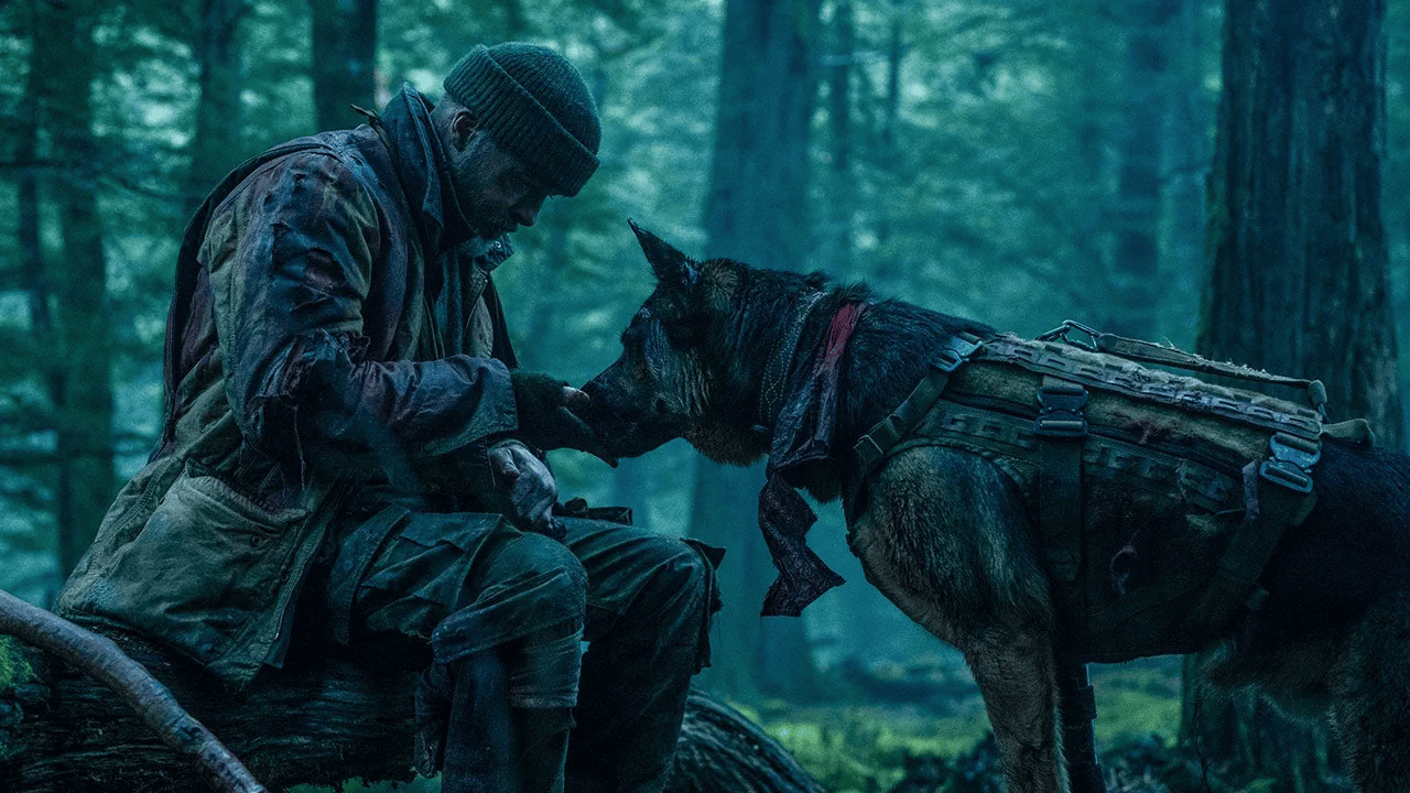 Heart of the Beast Review: Brad Pitt and His Combat Dog Go Ruffin’ It in the Wild