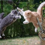 What we’ve been playing – “I curl up on my sofa and breed my army of battle cats”