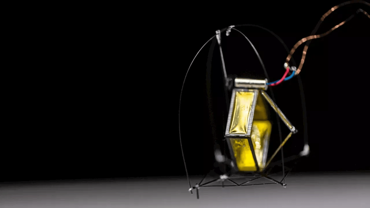 Palm-sized robot makes controlled jumps using a tiny electric motor