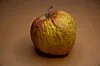 Apple buried Copland 30 years ago. Now the failed OS boots in a browser