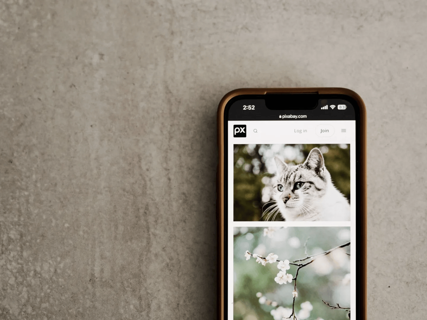 ChatGPT user images posted online by OpenAI agents: how to opt out