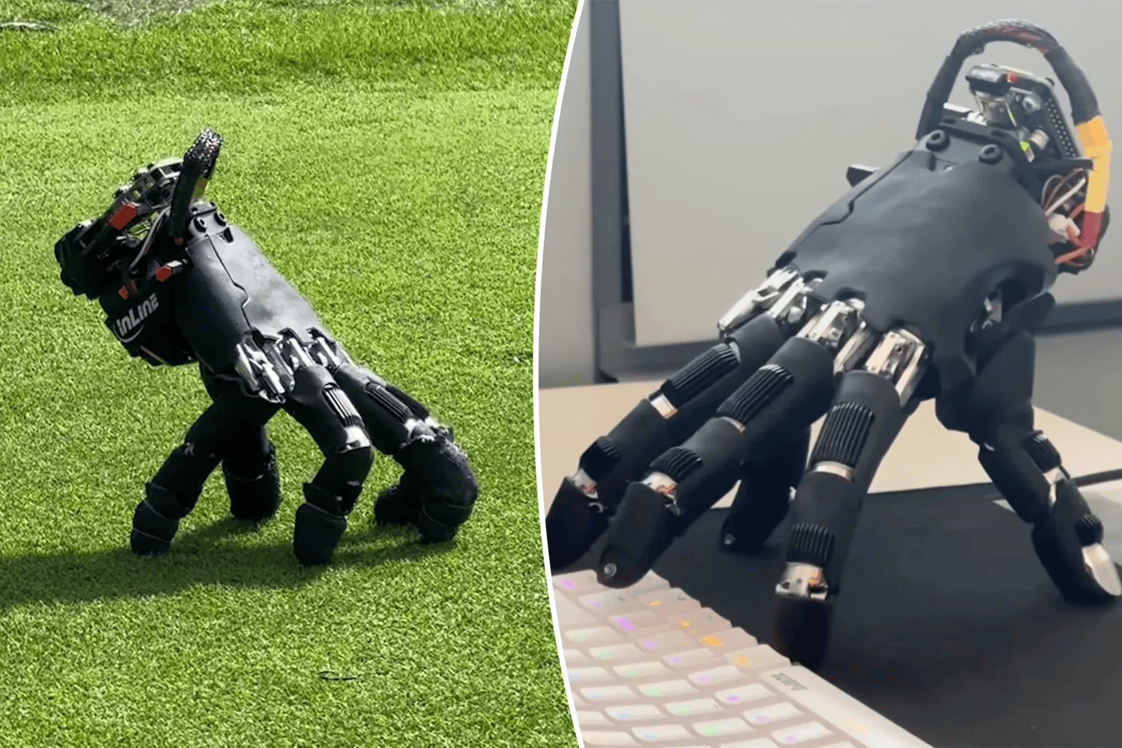 Creepy walking robo-hand brings ‘Addams Family’ to life. ‘Could make future bots more versatile.’