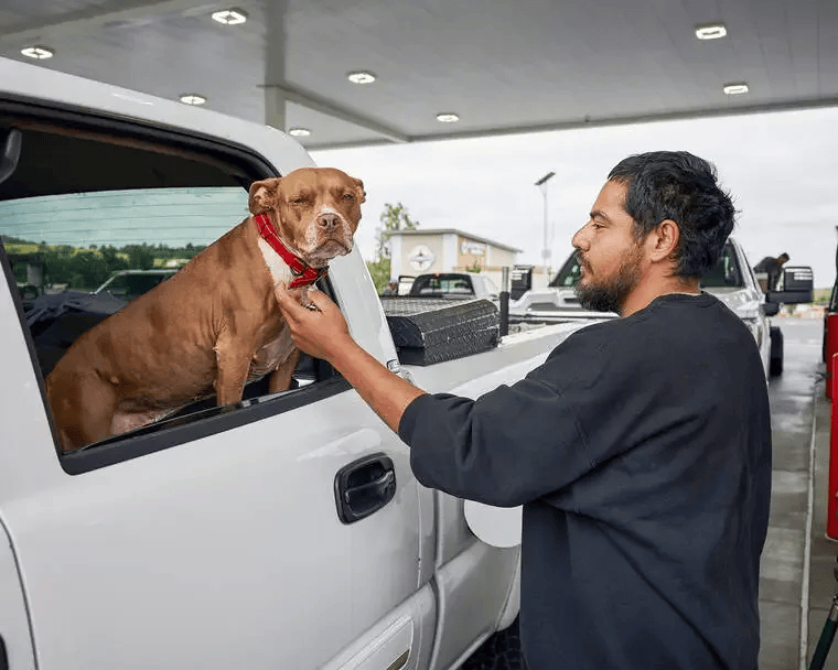 As gas prices rose, sales of larger vehicles slid