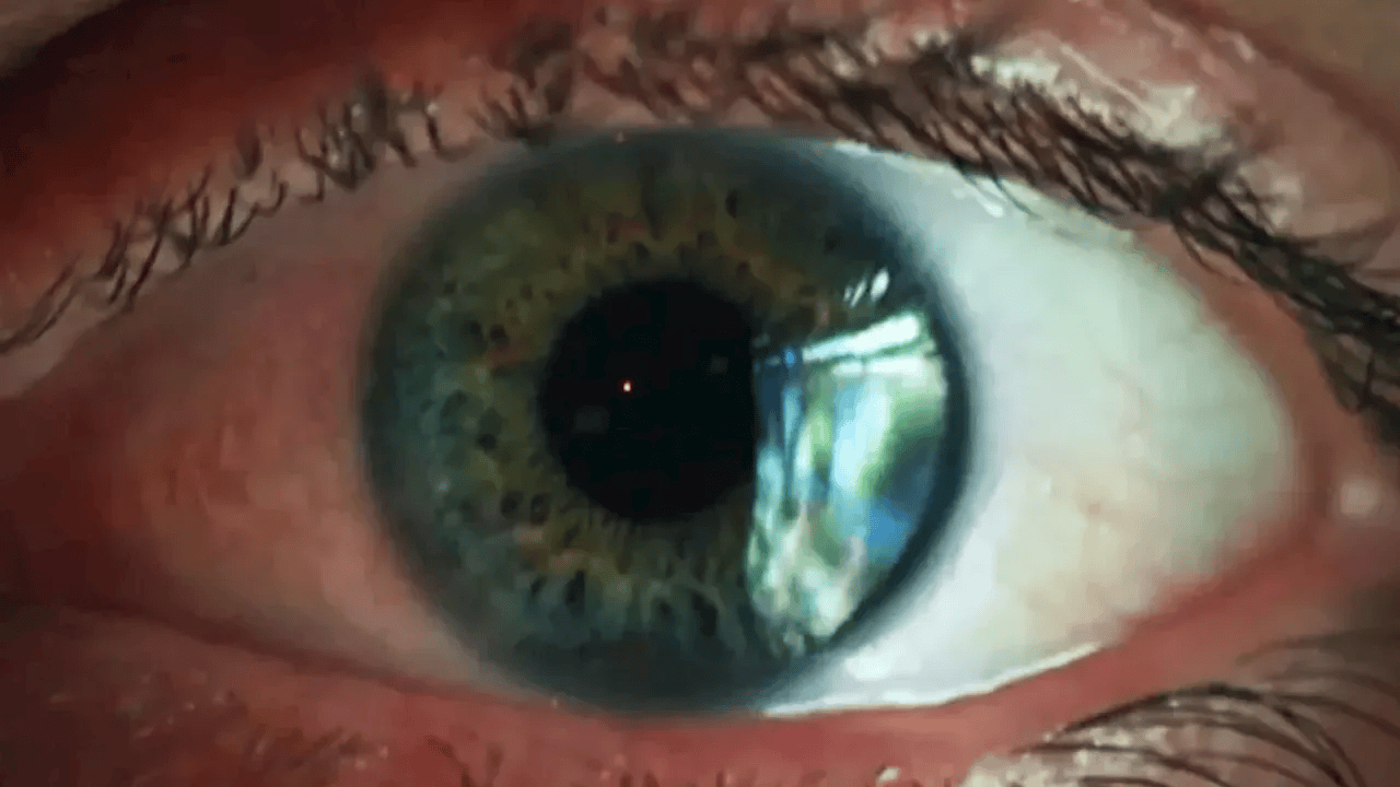 Detecting deepfakes, in a world where even reality is suspect