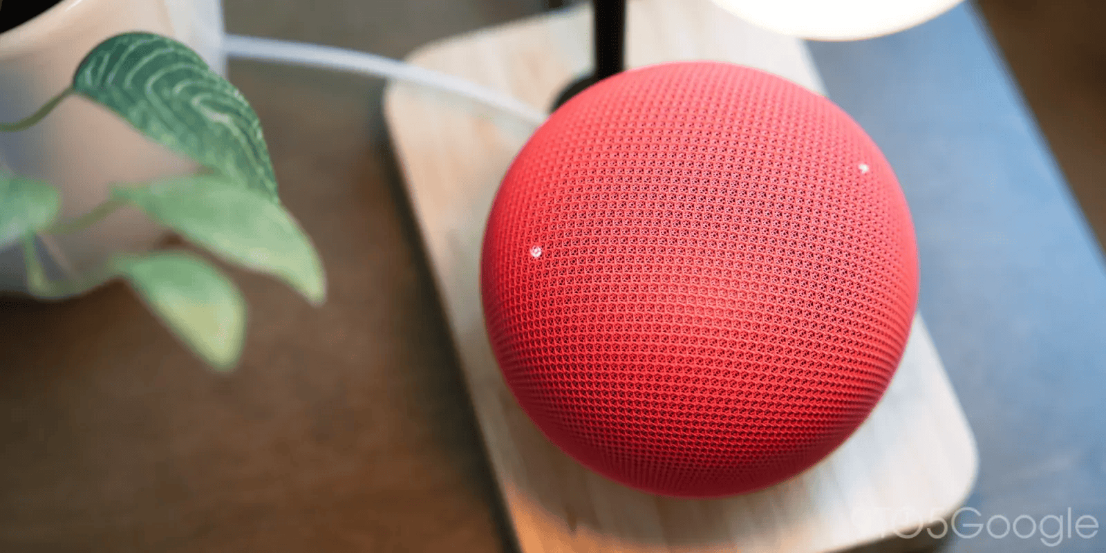 Some Google Home Speakers downloading massive amounts of data in the background