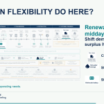 What Can Grid Flexibility Actually Do Here?