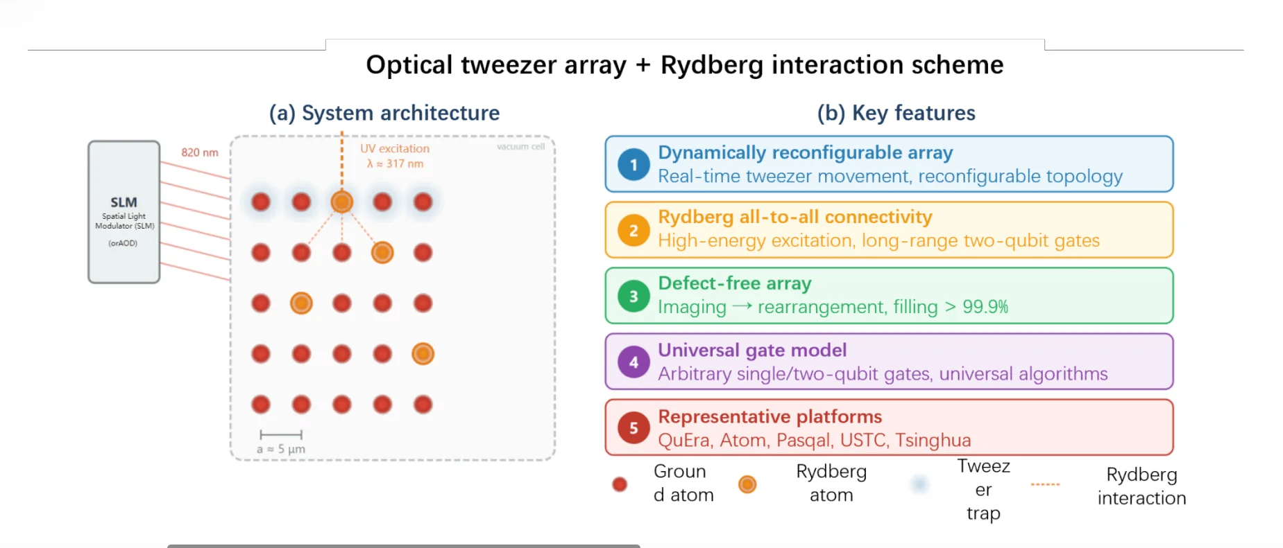 Review Unpacks China’s Surging Neutral-Atom Ecosystem: World-Record Arrays, Commercial Systems, and Scaling Milestones