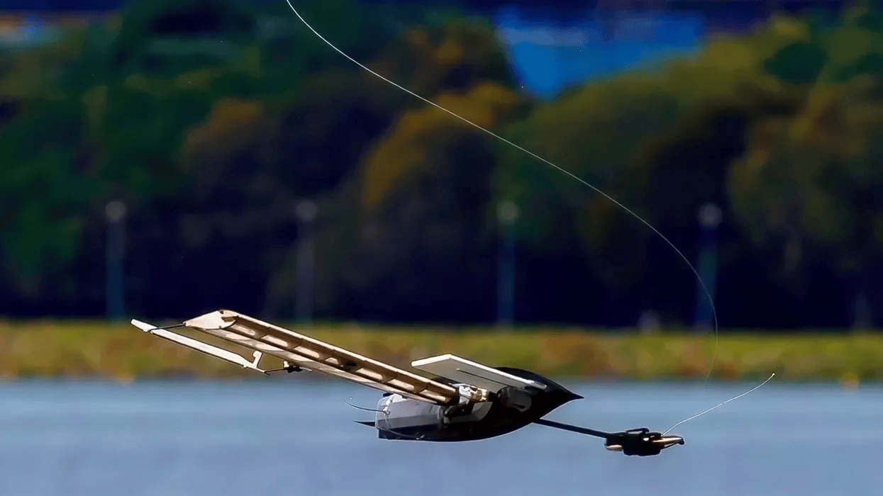Video Friday: Albatross Falls, Spins, Self-Rights, and Sails Away