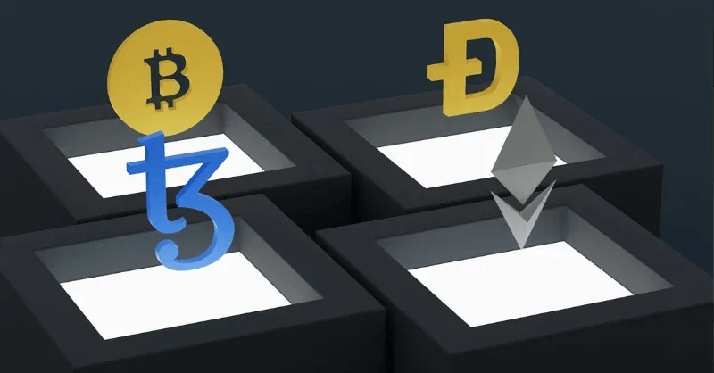What determines the success of a crypto project?