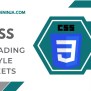 Understanding CSS Basics Guide For Colorful Websites In 2024
