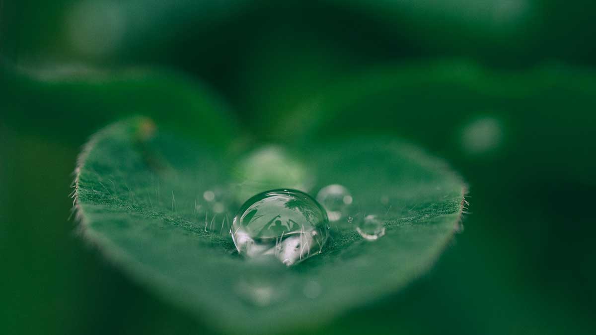 Tata Communications recognised with ‘A-’ score for leadership in Sustainability by CDP