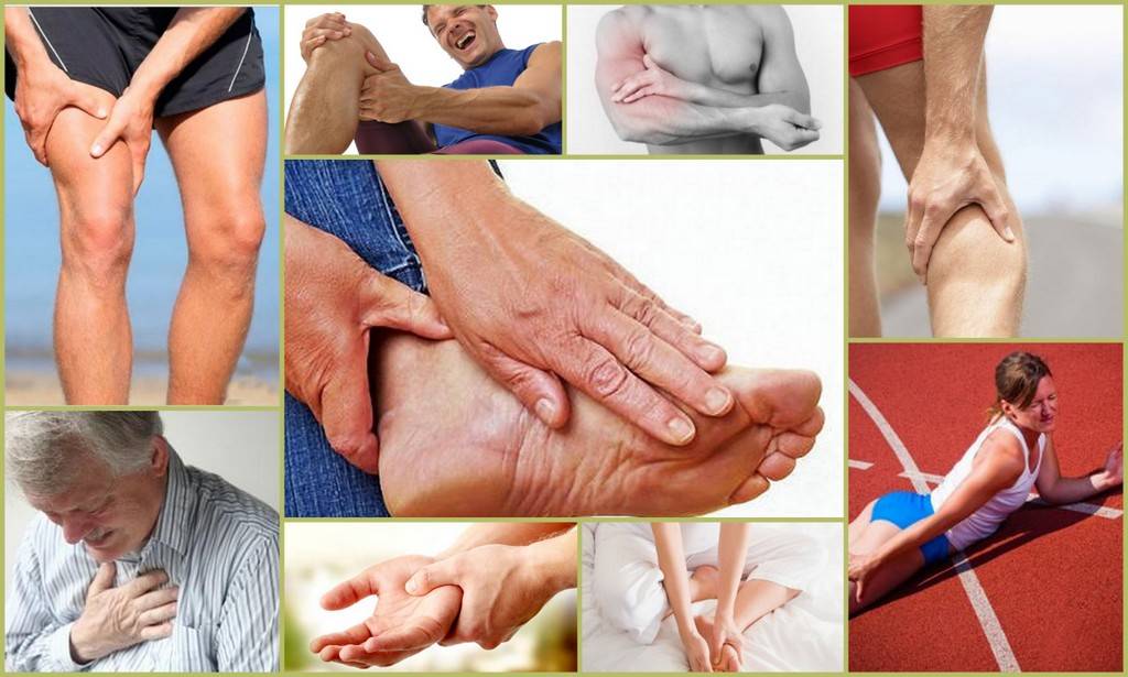 судорога икроножной мышцы. спастические боли в ногах. спазм судорога. мышечные спазмы в ногах. судороги в ногах причины.