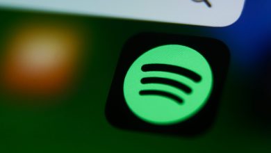 تثير Spotify فئة “ممتازة للغاية” للمعجبين المميزين وتوسيع الفيديو القادم في مكالمة أرباح الربع الثالث