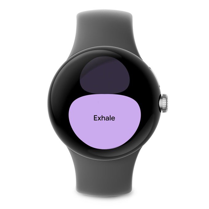 Pixel Watch now has Fitbit Relax app - The Hard News Daily