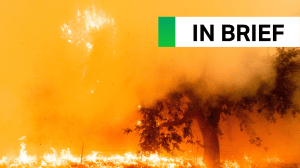 Google and Muon Space join forces to continuously scan Earth for wildfires | TechCrunch