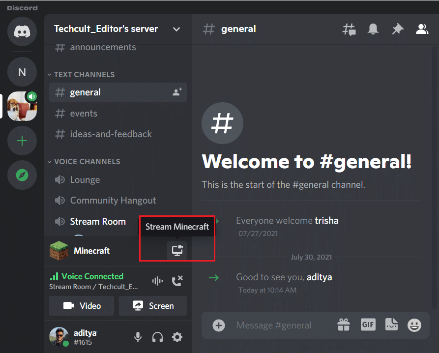 How To Go Live On Discord 2021 Techcult