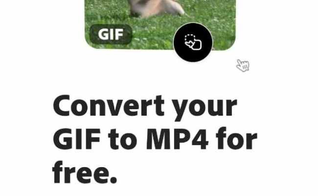 How To Add Your Own GIF To Instagram Story On Android – TechCult