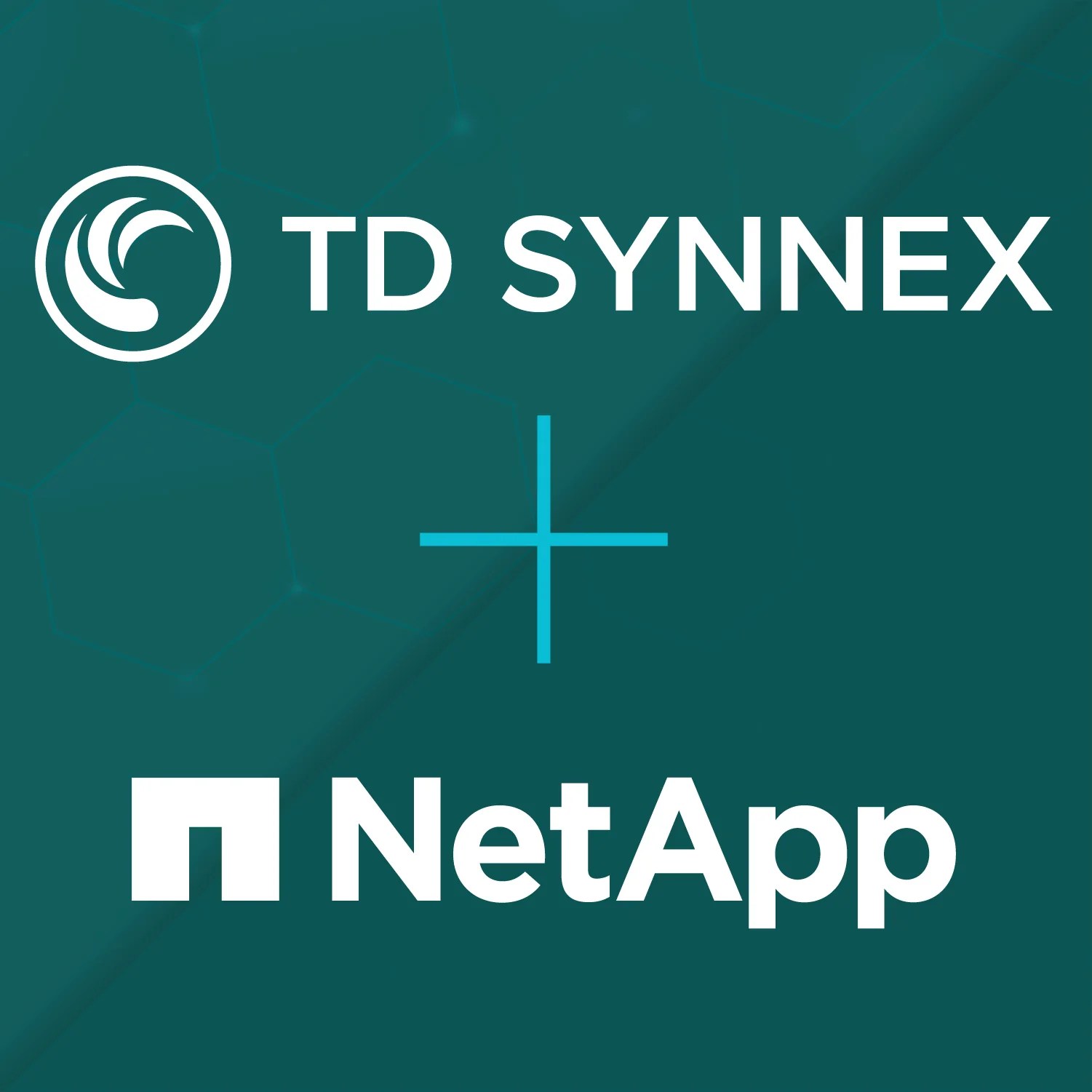 Td Synnex Netapp