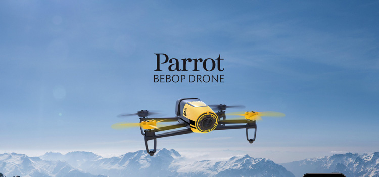 Parrot