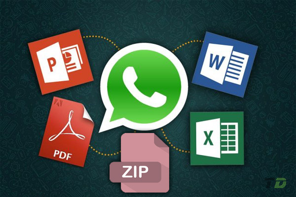 WhatsApp file