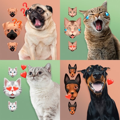 petmoji