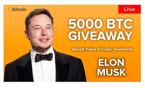 Elon Musk Skam Spam