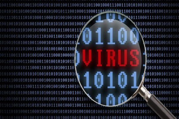virus