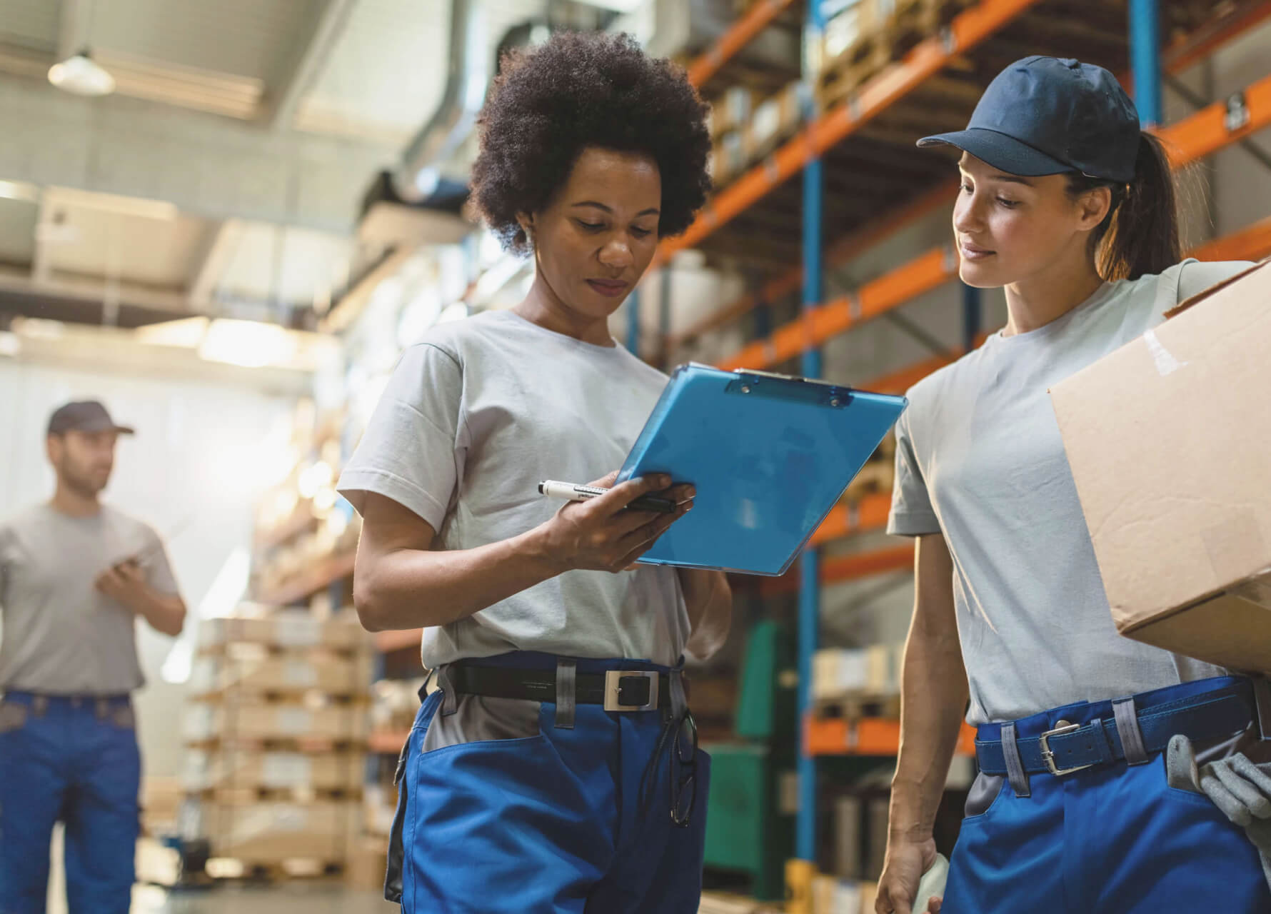 About Techdinamics - Premium Nature Background Gallery - 4K