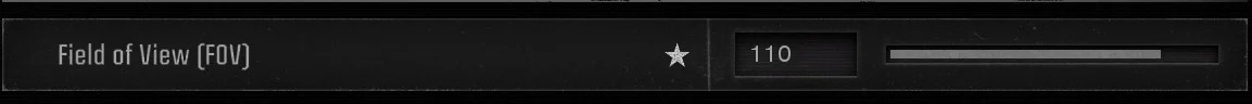 Black Ops 6 field of view slider set to 110