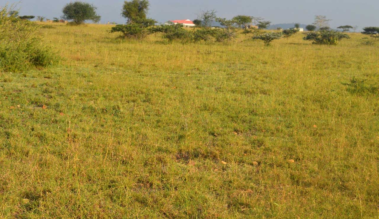Buying land in Kenya; Step by step Guide into buying land in Kenya.
