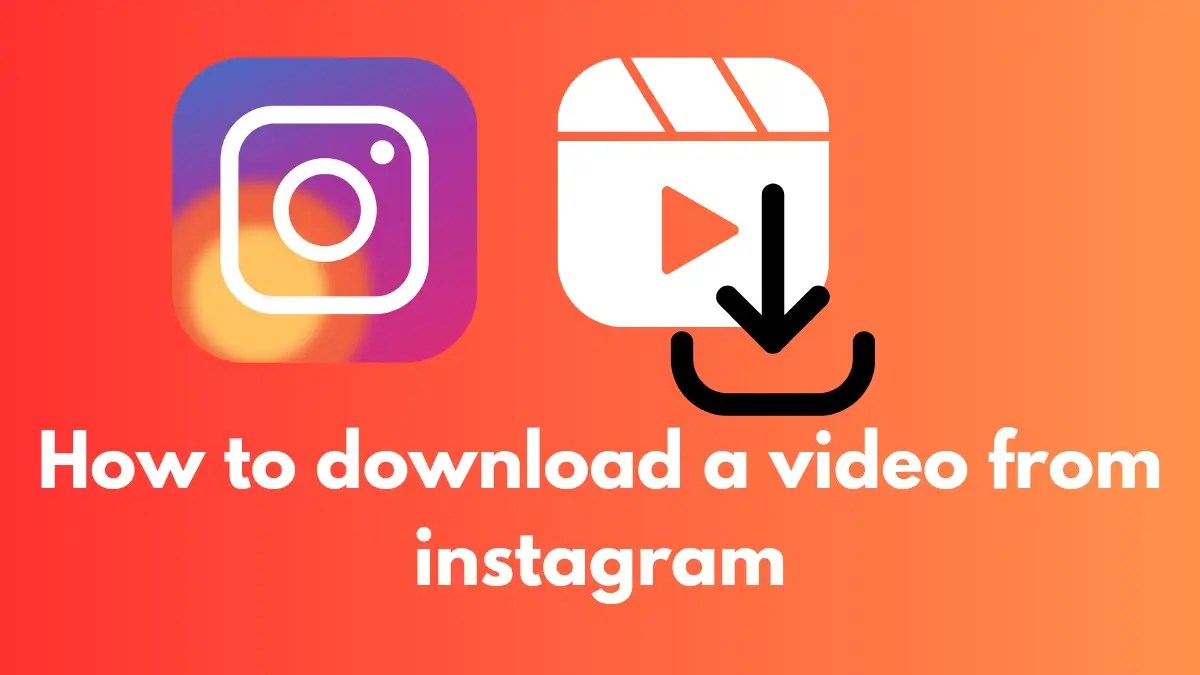 How to download a video from instagram