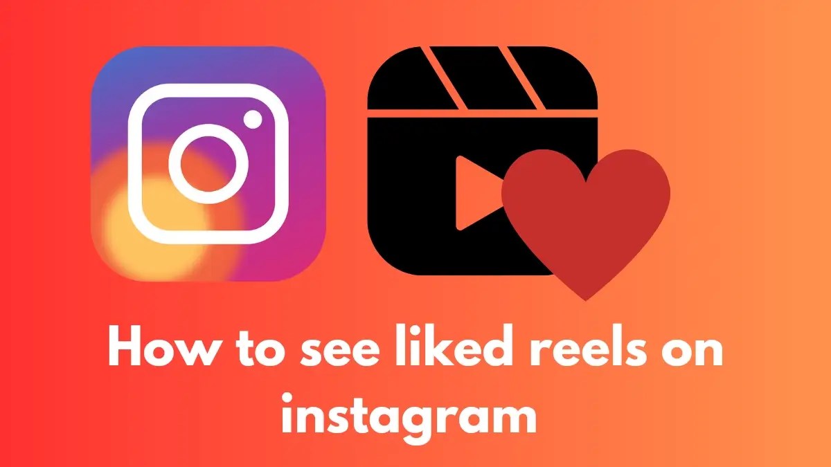 How to check liked reels on instagram