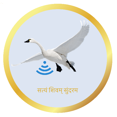 Techhansa logo