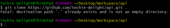 git error – not an empty directory