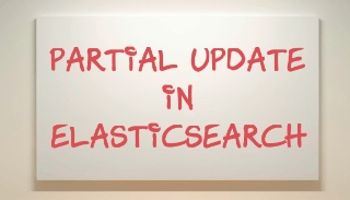 Partial Update in Elasticsearch