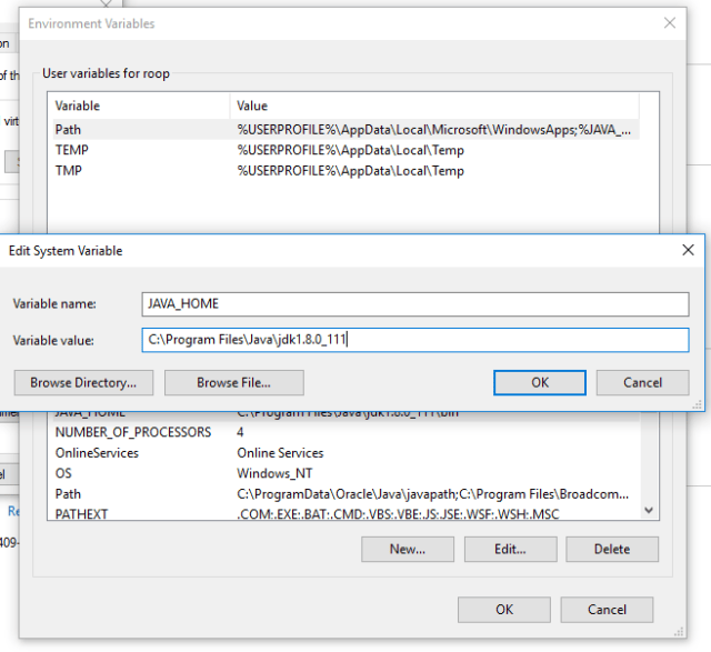 add-new-systemvariable-java_home