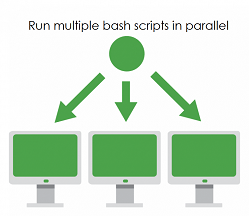 Run bash script in parallel