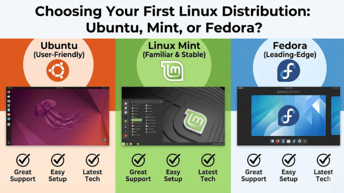 Fedora vs mint