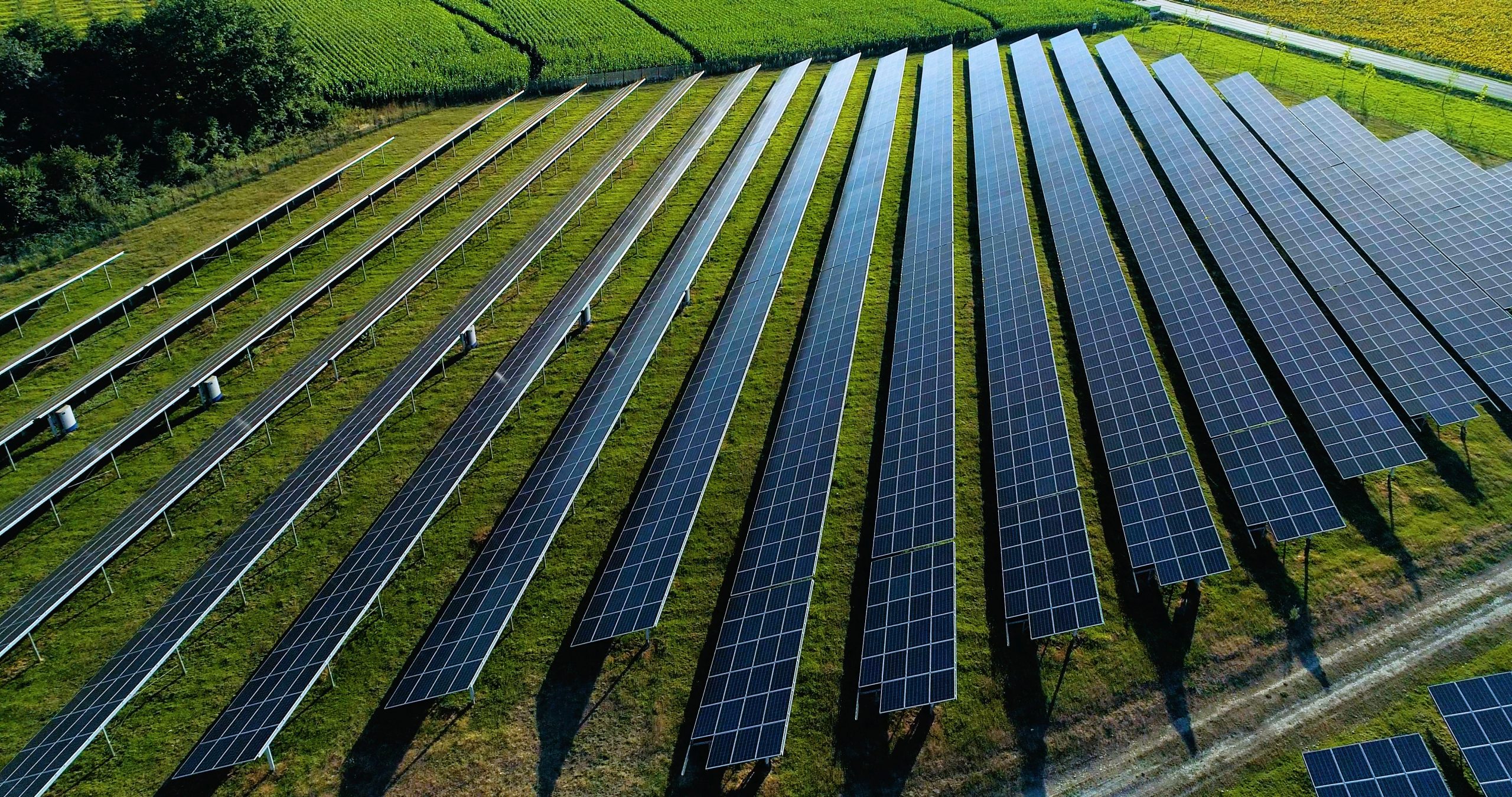 UCR partners with Corpora.ai to speed up clean energy breakthroughs