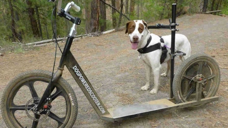 inventions18.jpg