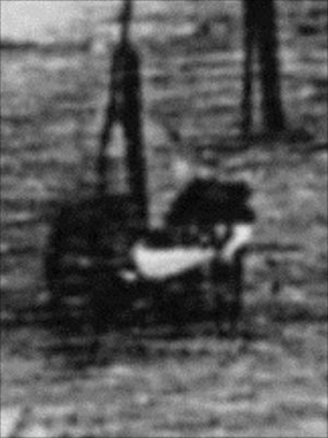 first_human4.jpg