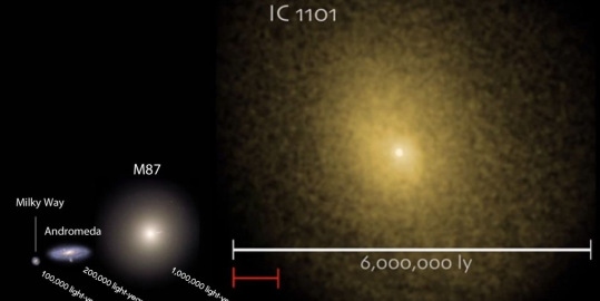 io_1.jpg