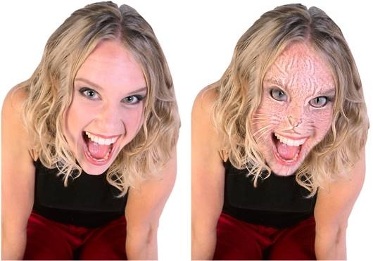 illusion3.jpg