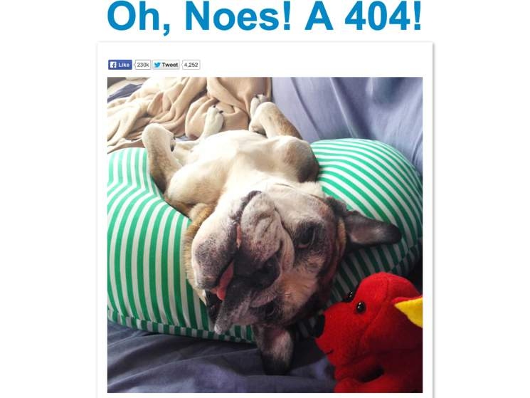 404-errors17.jpg