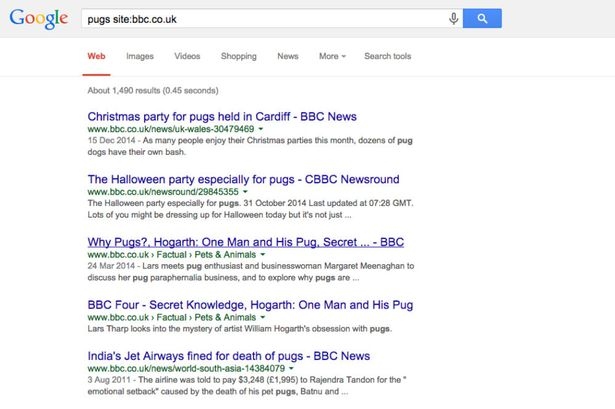 google_site.jpg