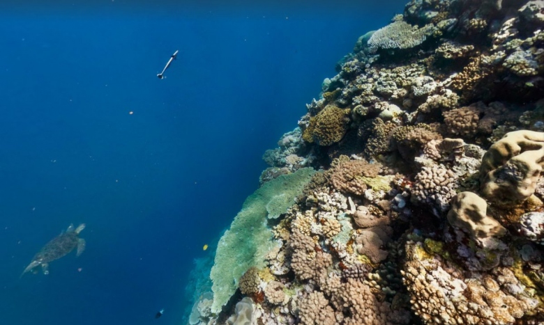 the-mantis-reef-is-one-of-the-best-place