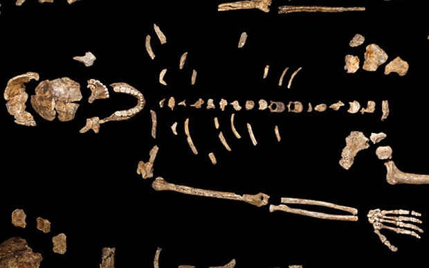 homo2_0.jpg